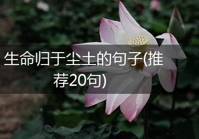 生命归于尘土的句子(推荐20句)