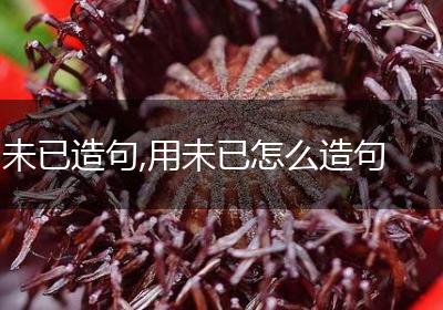 未已造句,用未已怎么造句