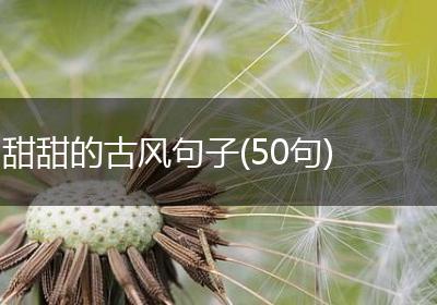 甜甜的古风句子(50句)