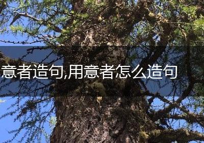 意者造句,用意者怎么造句