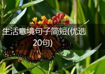 生活意境句子简短(优选20句)