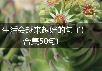 生活会越来越好的句子(合集50句)