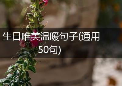 生日唯美温暖句子(通用50句)