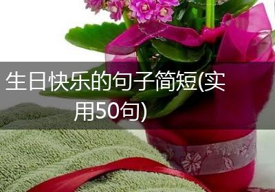 生日快乐的句子简短(实用50句)