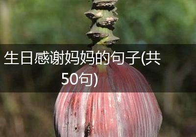 生日感谢妈妈的句子(共50句)