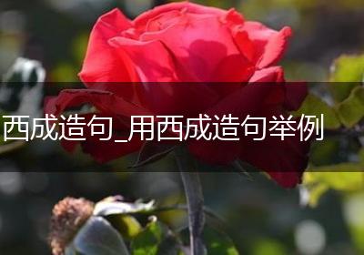 西成造句_用西成造句举例