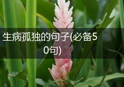 生病孤独的句子(必备50句)