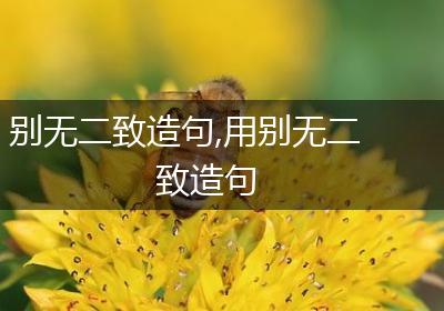别无二致造句,用别无二致造句
