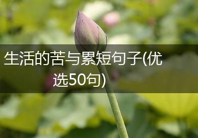 生活的苦与累短句子(优选50句)
