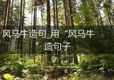 风马牛造句_用“风马牛”造句子