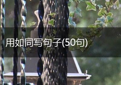 用如同写句子(50句)