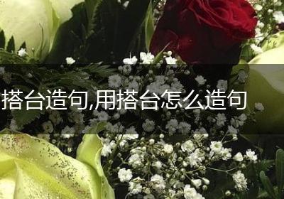 搭台造句,用搭台怎么造句