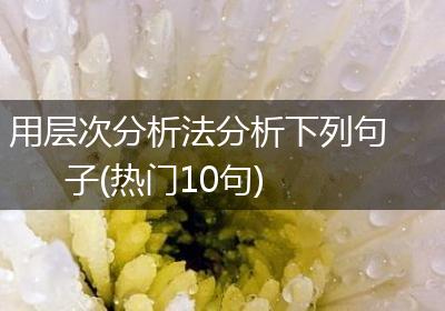 用层次分析法分析下列句子(热门10句)