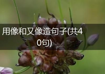 用像和又像造句子(共40句)