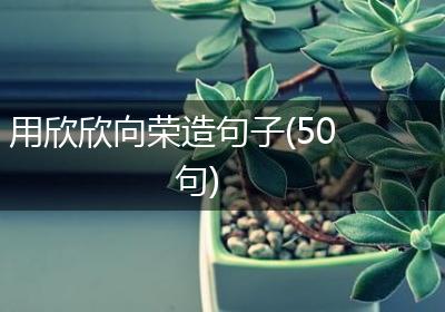用欣欣向荣造句子(50句)