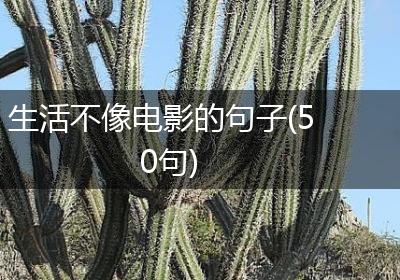 生活不像电影的句子(50句)