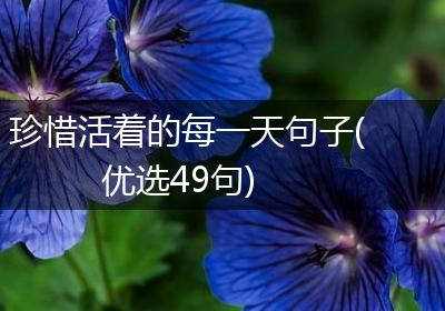 珍惜活着的每一天句子(优选49句)