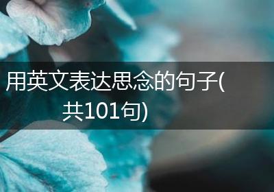 用英文表达思念的句子(共101句)