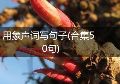 用象声词写句子(合集50句)