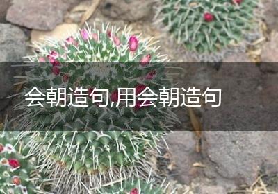 会朝造句,用会朝造句