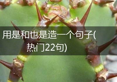 用是和也是造一个句子(热门22句)