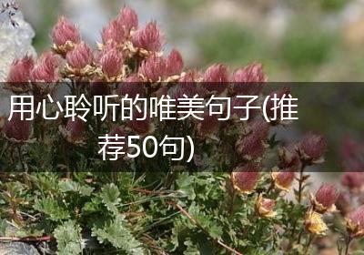 用心聆听的唯美句子(推荐50句)