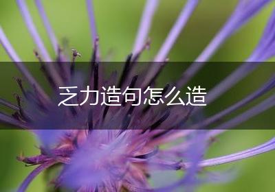 乏力造句怎么造