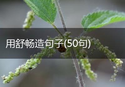 用舒畅造句子(50句)