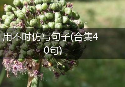 用不时仿写句子(合集40句)