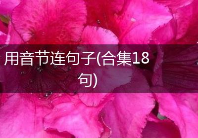 用音节连句子(合集18句)