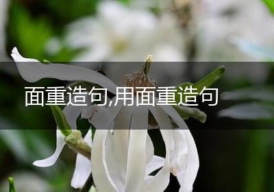 面重造句,用面重造句
