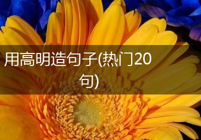用高明造句子(热门20句)