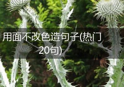 用面不改色造句子(热门20句)