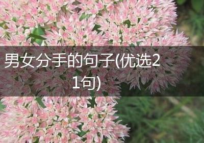 男女分手的句子(优选21句)