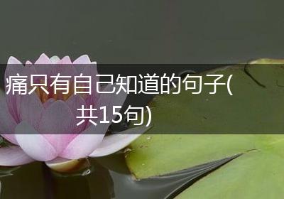 痛只有自己知道的句子(共15句)