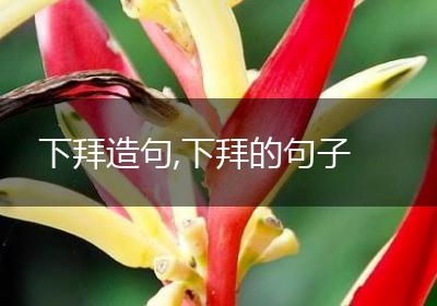 下拜造句,下拜的句子