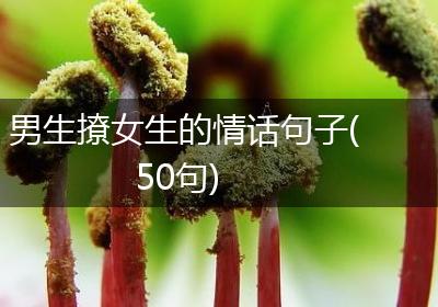 男生撩女生的情话句子(50句)