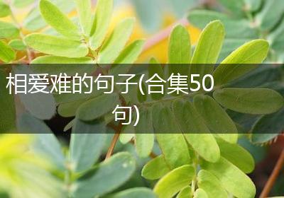 相爱难的句子(合集50句)