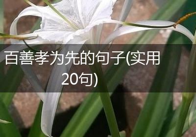 百善孝为先的句子(实用20句)
