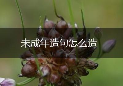 未成年造句怎么造