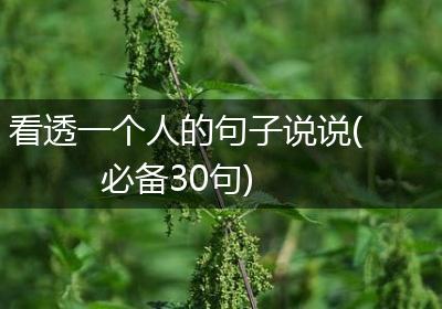 看透一个人的句子说说(必备30句)