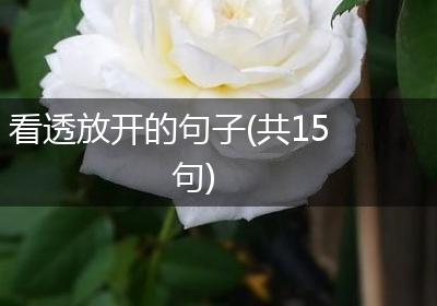 看透放开的句子(共15句)