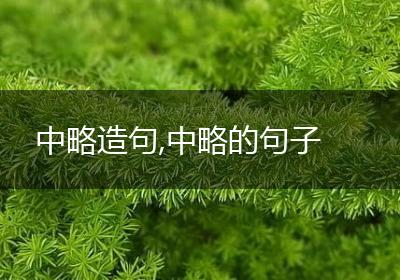 中略造句,中略的句子