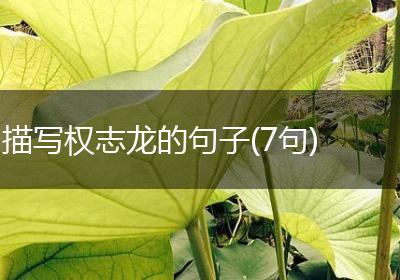 描写权志龙的句子(7句)
