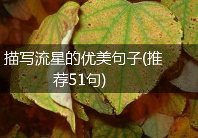 描写流星的优美句子(推荐51句)