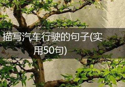 描写汽车行驶的句子(实用50句)