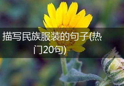 描写民族服装的句子(热门20句)
