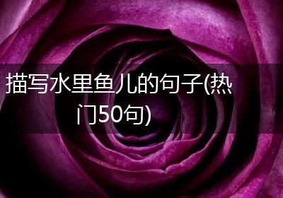 描写水里鱼儿的句子(热门50句)