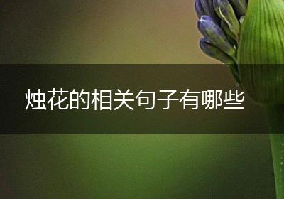烛花的相关句子有哪些