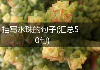 描写水珠的句子(汇总50句)